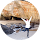 ALV UjXR7vrZ9 OpOftUjQp2uSYI7w86LPVxfK9kNbWT11wIDws40 C Rp Mo Br100